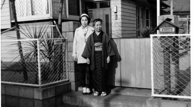 Genes – A Decoder Key to the Past