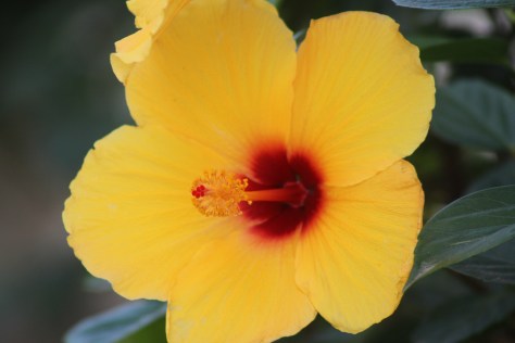 Weekly Photo Challenge: Good Morning!