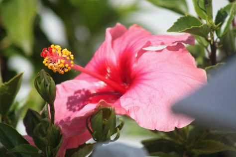 Weekly Photo Challenge: Good Morning!