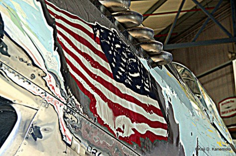 11588442153_2dec5b0551_o