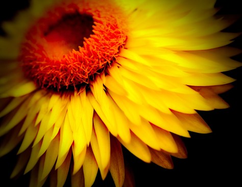 14367374042_8ae7088c4b_o