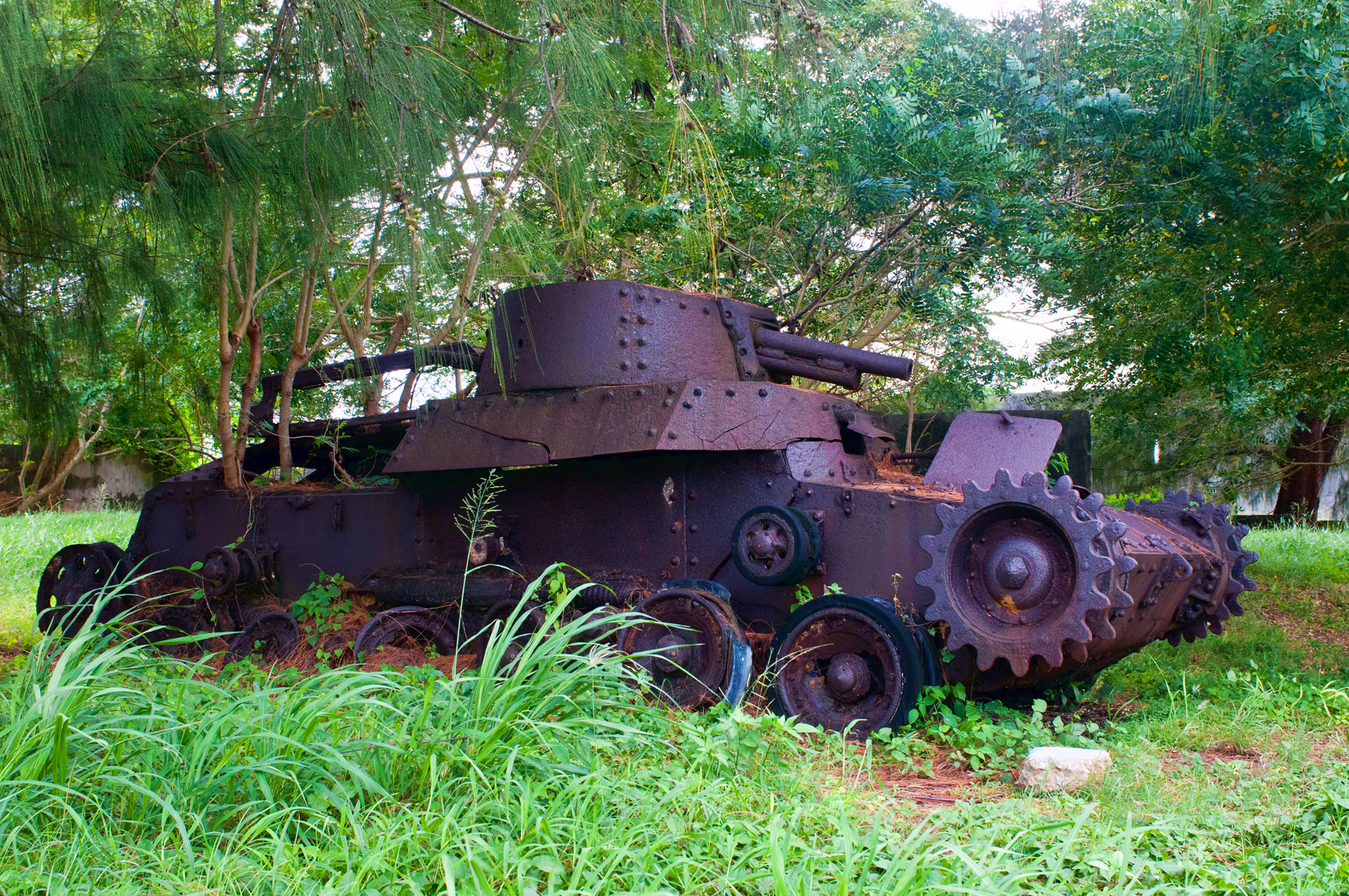 6684238695_1dc815bb91_o