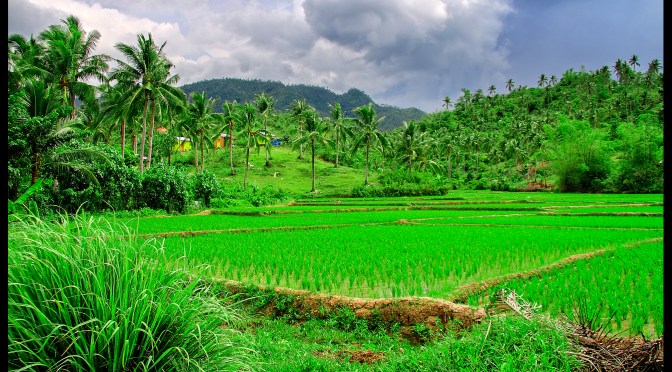 A Soul Lost From WWII Comes Home – Part 5